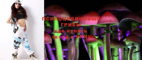 бутират Алзамай
