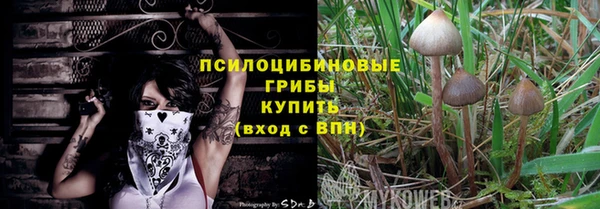 apvp Алексин
