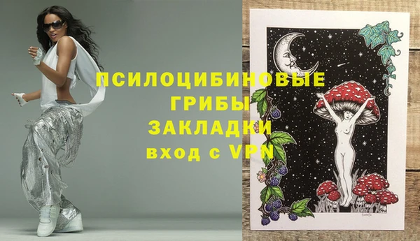 apvp Алексин